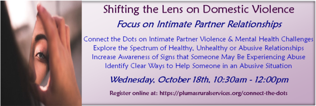 Shifting the Lens on Domestic Violence