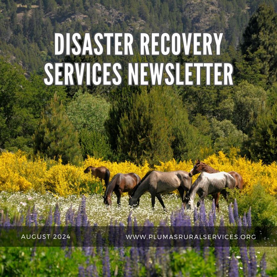 Disaster Recovery Newsletter, August, 2024