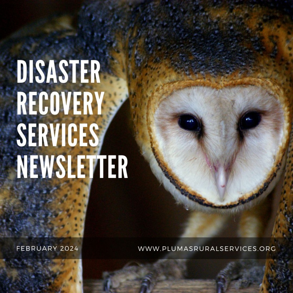 Disaster Recovery Newsletter, February, 2024