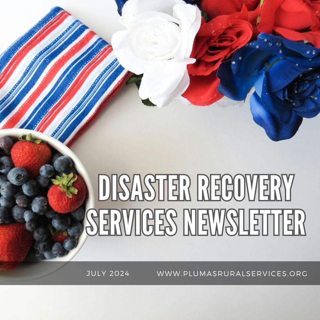 Disaster Recovery Newsletter, July, 2024