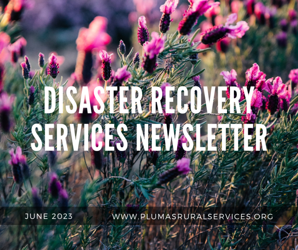 Disaster Recovery Newsletter, June 2023