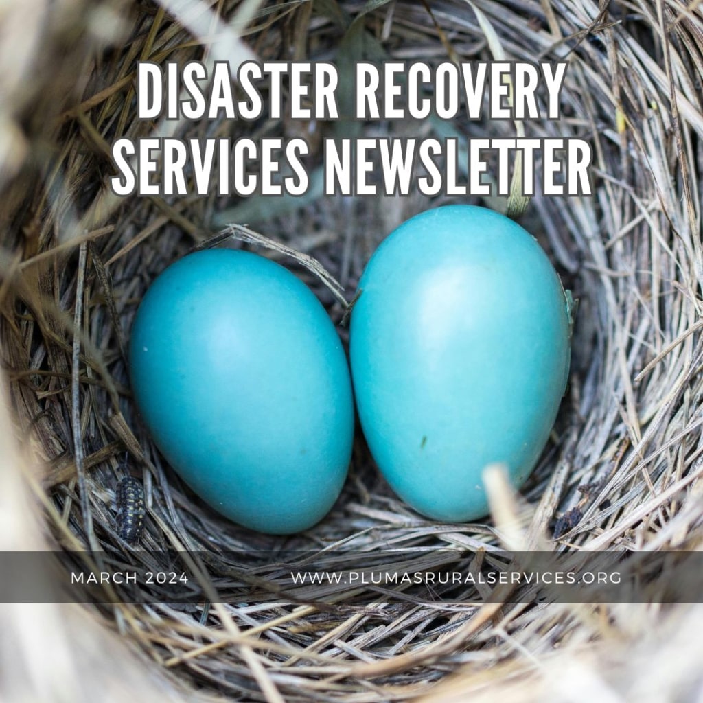Disaster Recovery Newsletter, March, 2024