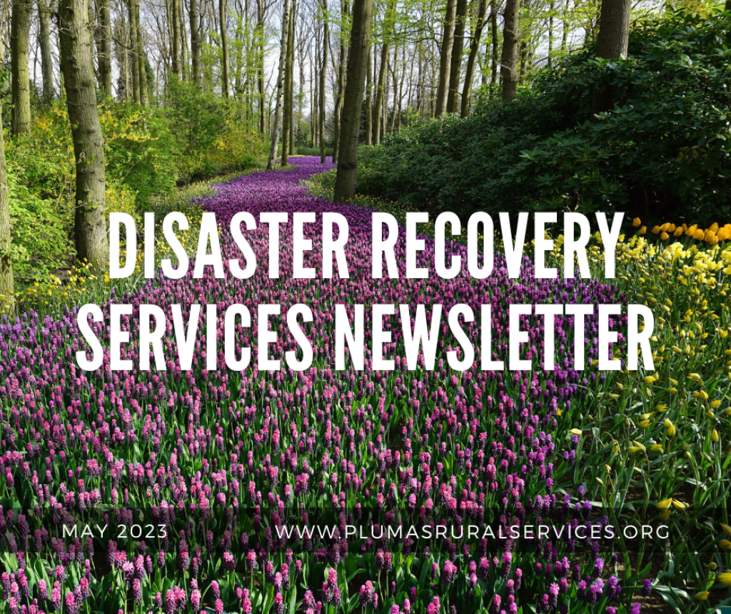 Disaster Recovery Newsletter, May 2023