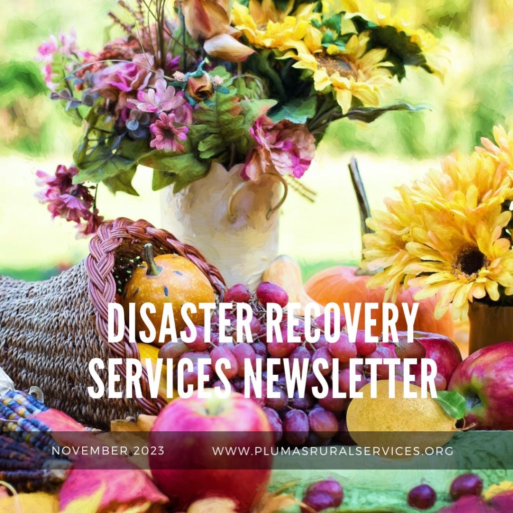 Disaster Recovery Newsletter, November, 2023