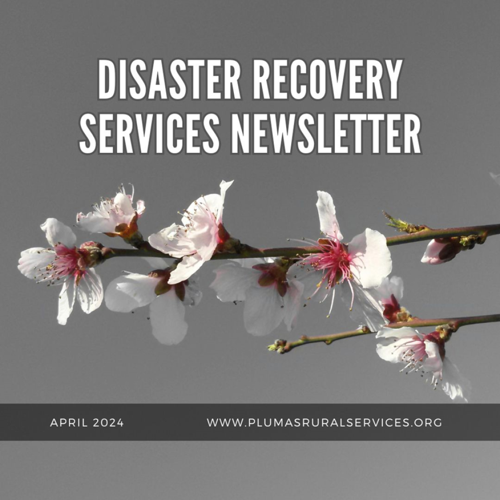 Disaster Recovery Newsletter, April, 2024