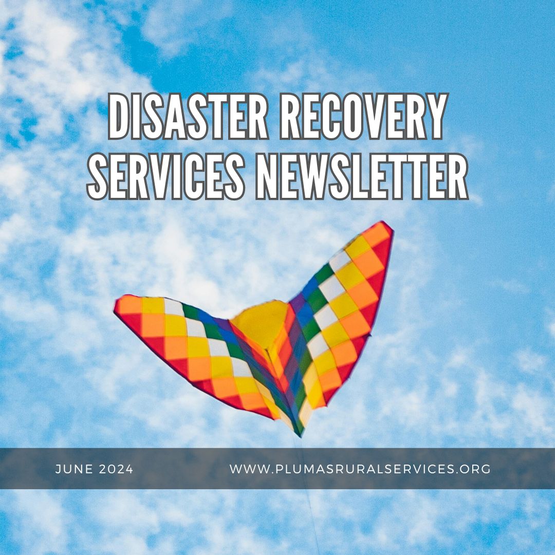 Disaster Recovery Newsletter, June, 2024