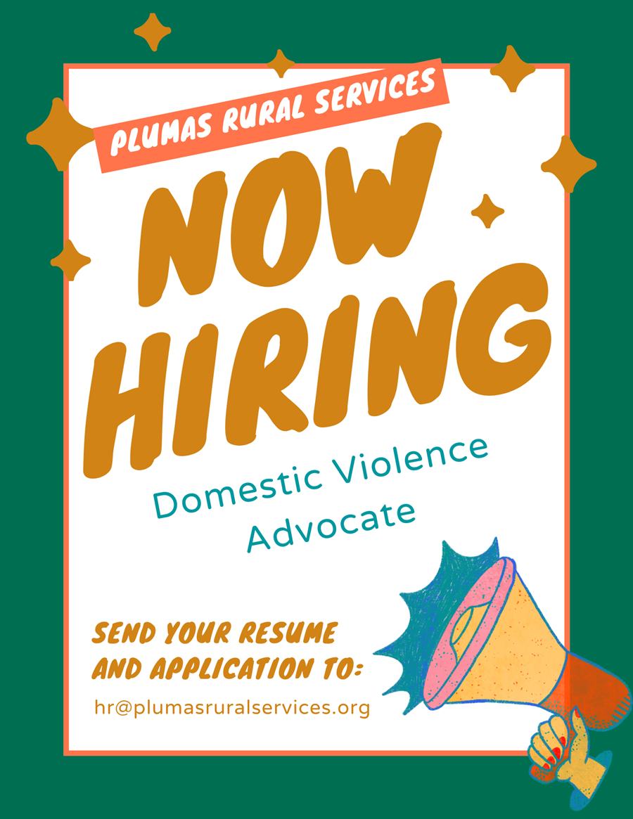Domestic Violence Advocate