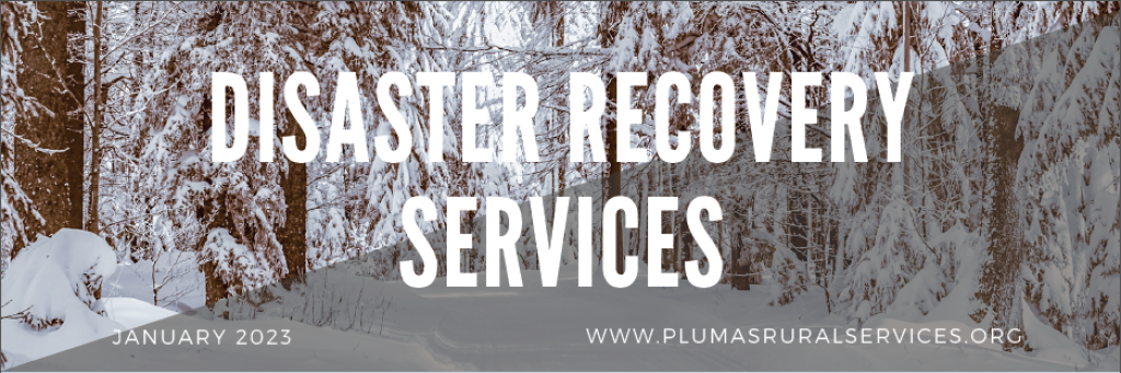 Disaster Recovery Newsletter, January, 2023