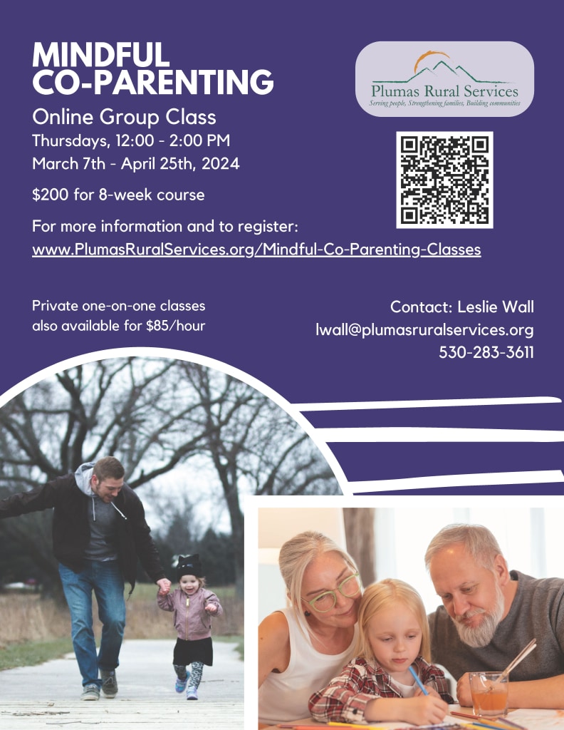Mindful Nurturing Co-Parenting Online Group Class Starts March 7th