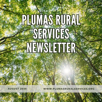 Newsletter August 2025