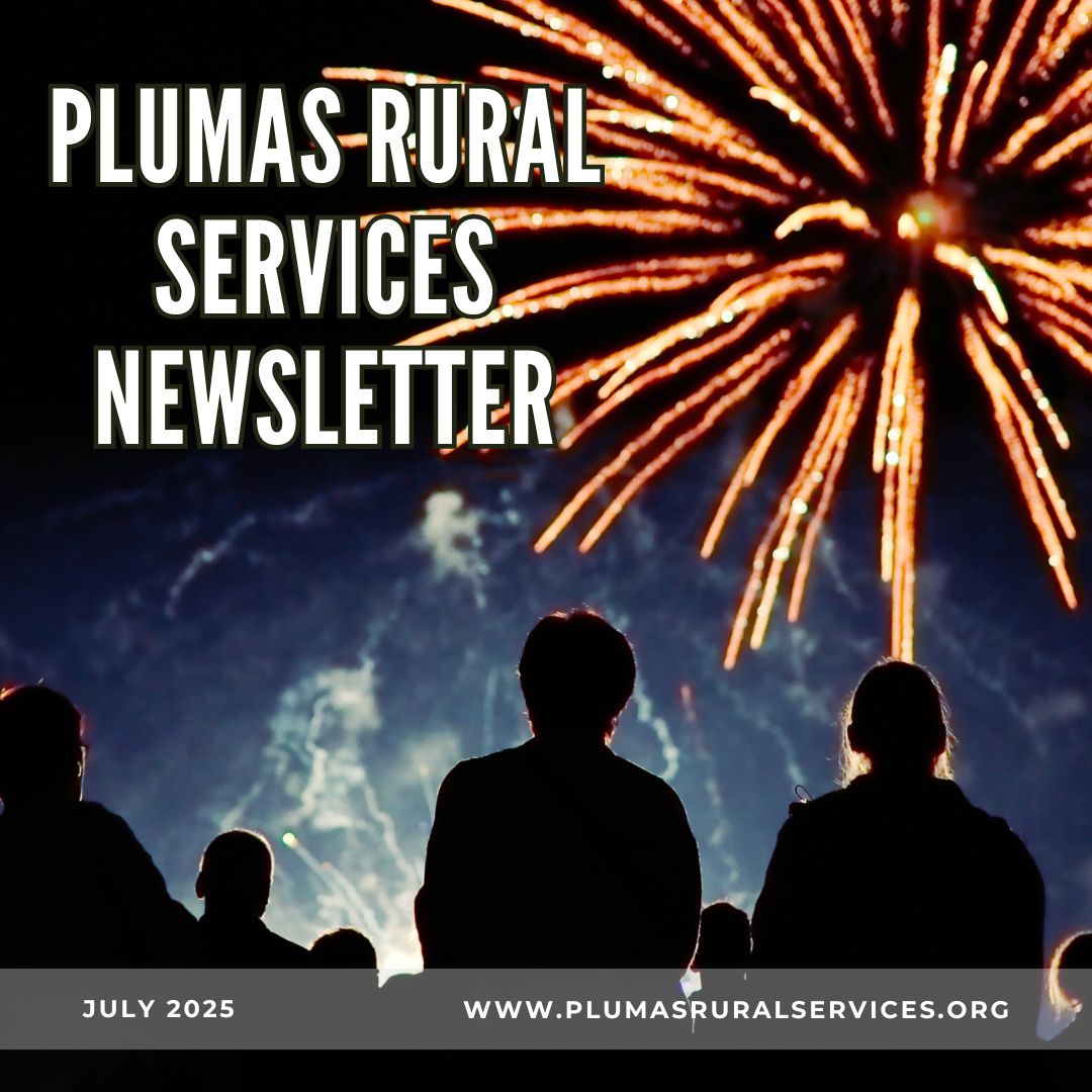 Newsletter_July25_IG.jpg