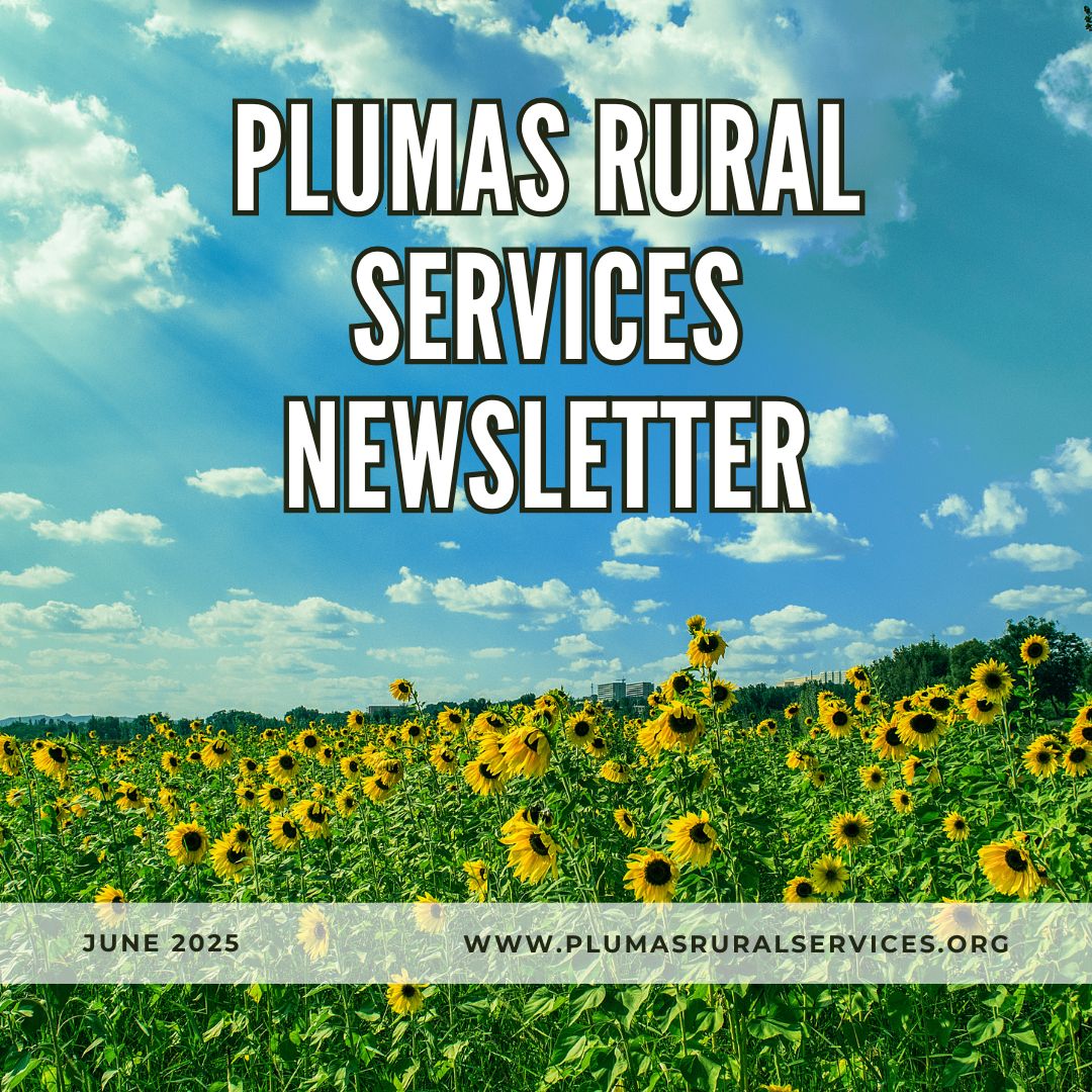 Newsletter_June25_IG.jpg