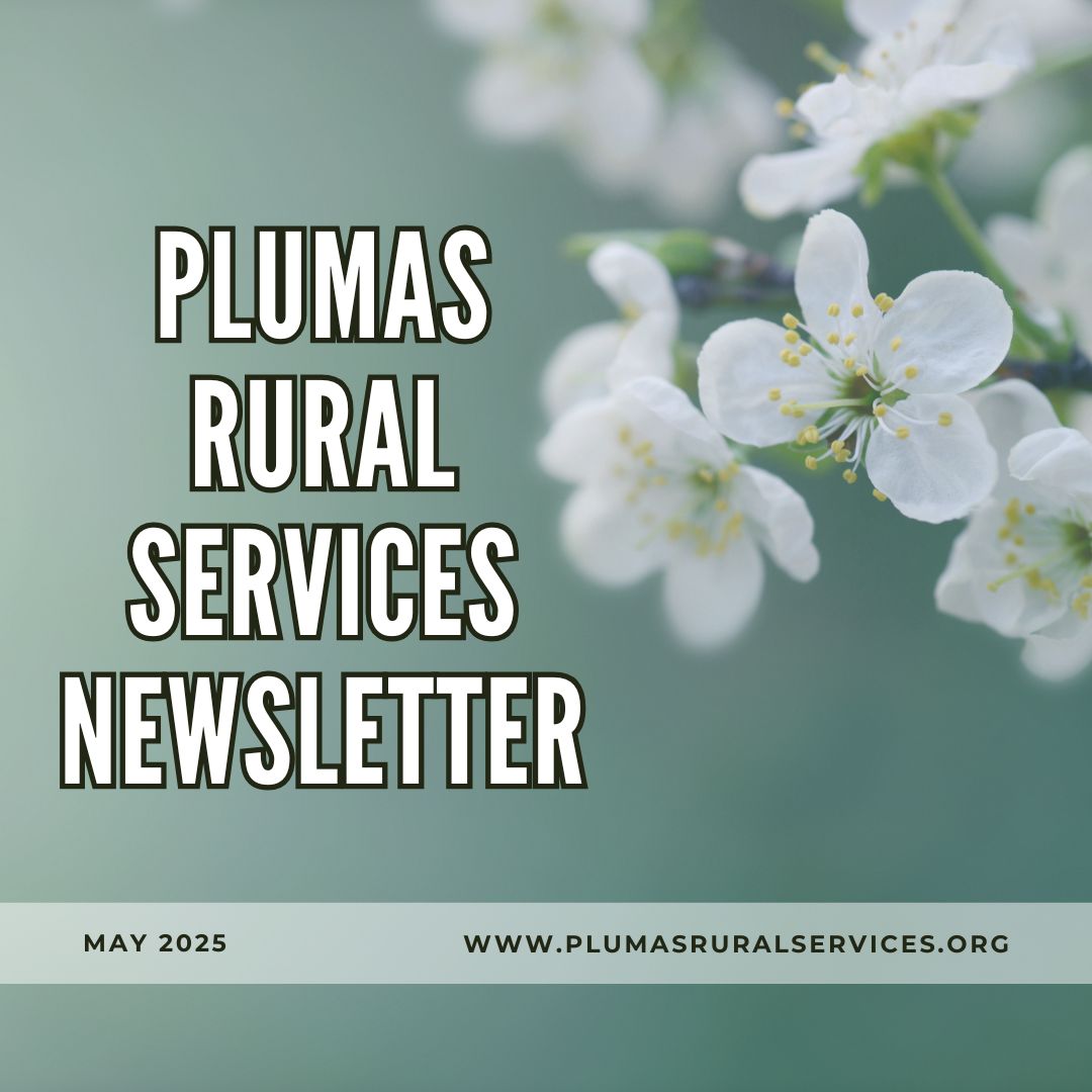 Newsletter_May25_IG.jpg