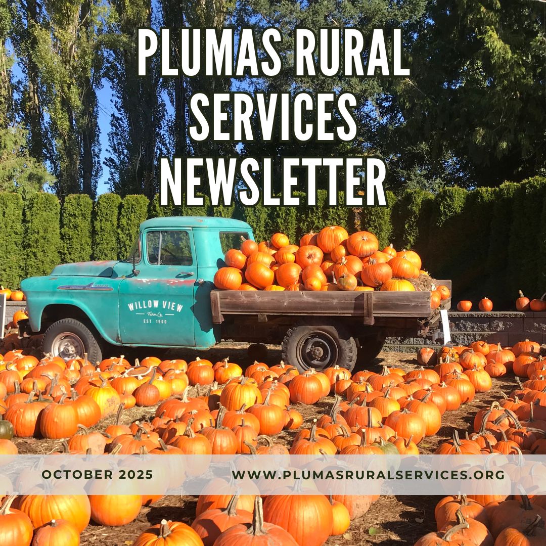 Newsletter_Oct25_IG.jpg