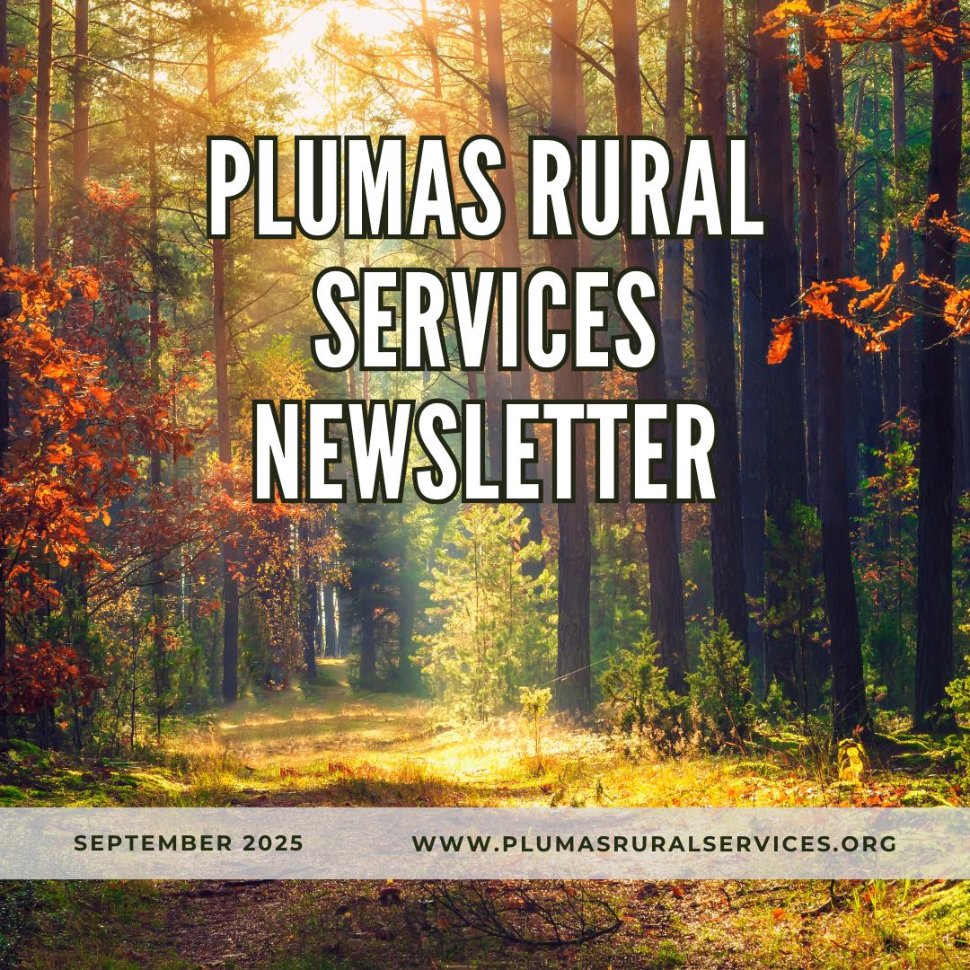 Newsletter_Sep25_IG.jpg
