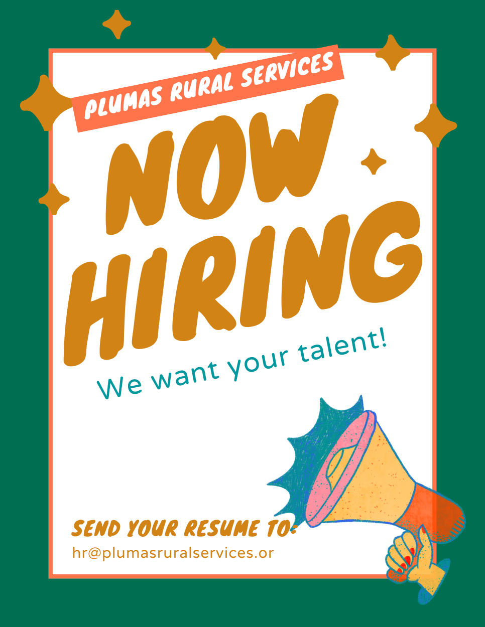 Domestic Violence Coordinator